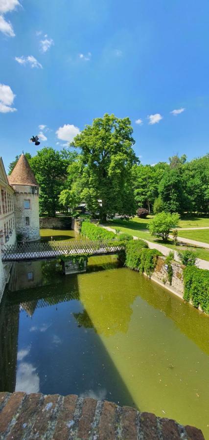 Chateau De La Cour Senlisse Kültér fotó
